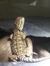 20130928_122732 re.jpg